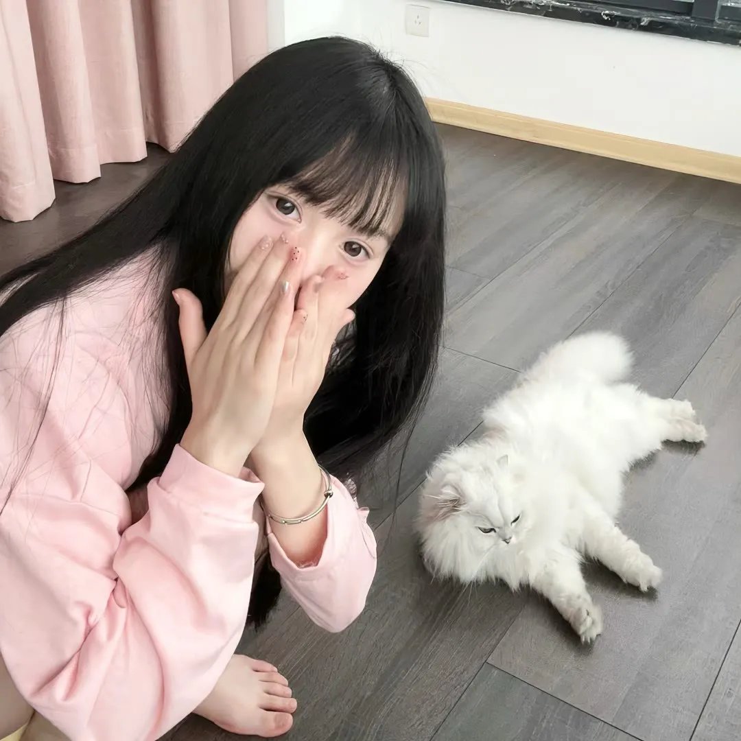 南极洲140天